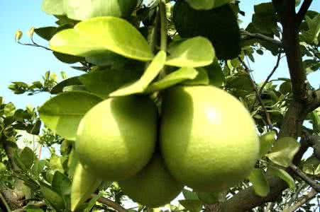 九游游戏中心客户端案例展示一