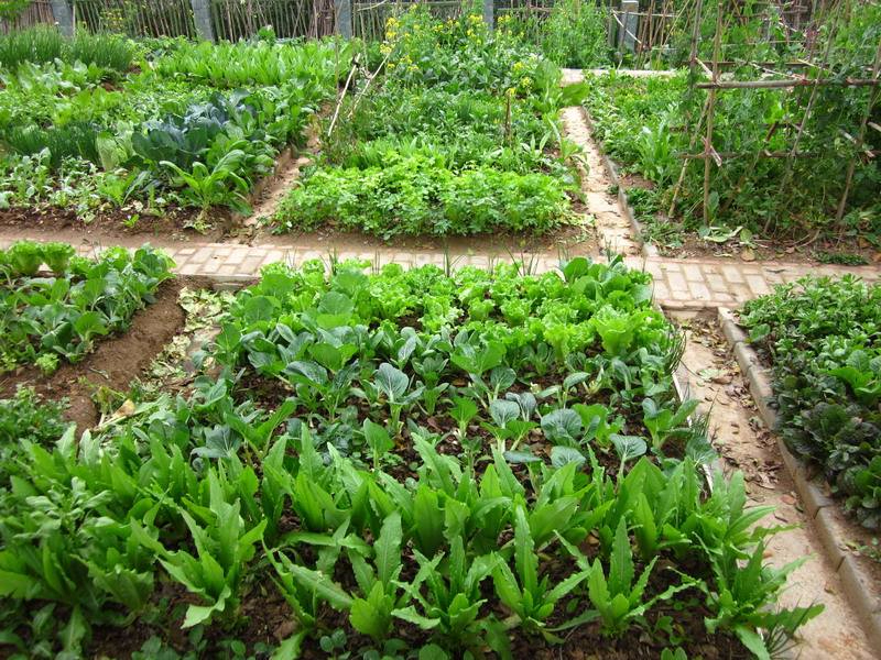 九游游戏中心客户端案例展示五